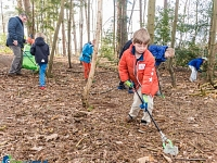 Foto bij artikel Met groep 4 naar het bos